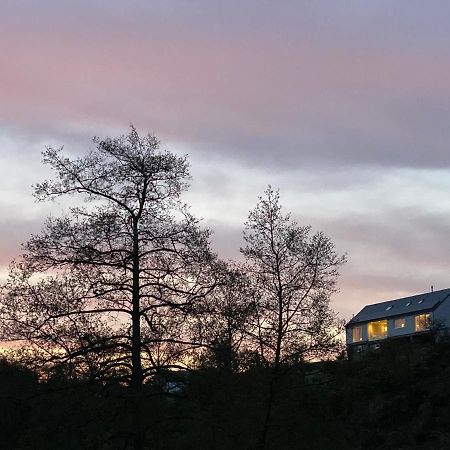 L'Auf Der Tomm Hotel Martelange Eksteriør billede